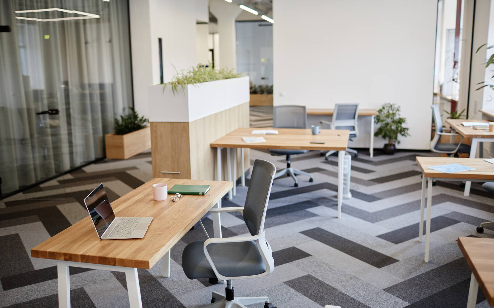 A bright, clean open-plan office with empty desks